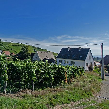 Gite Les Deux Belettes Riquewihr Buitenkant foto