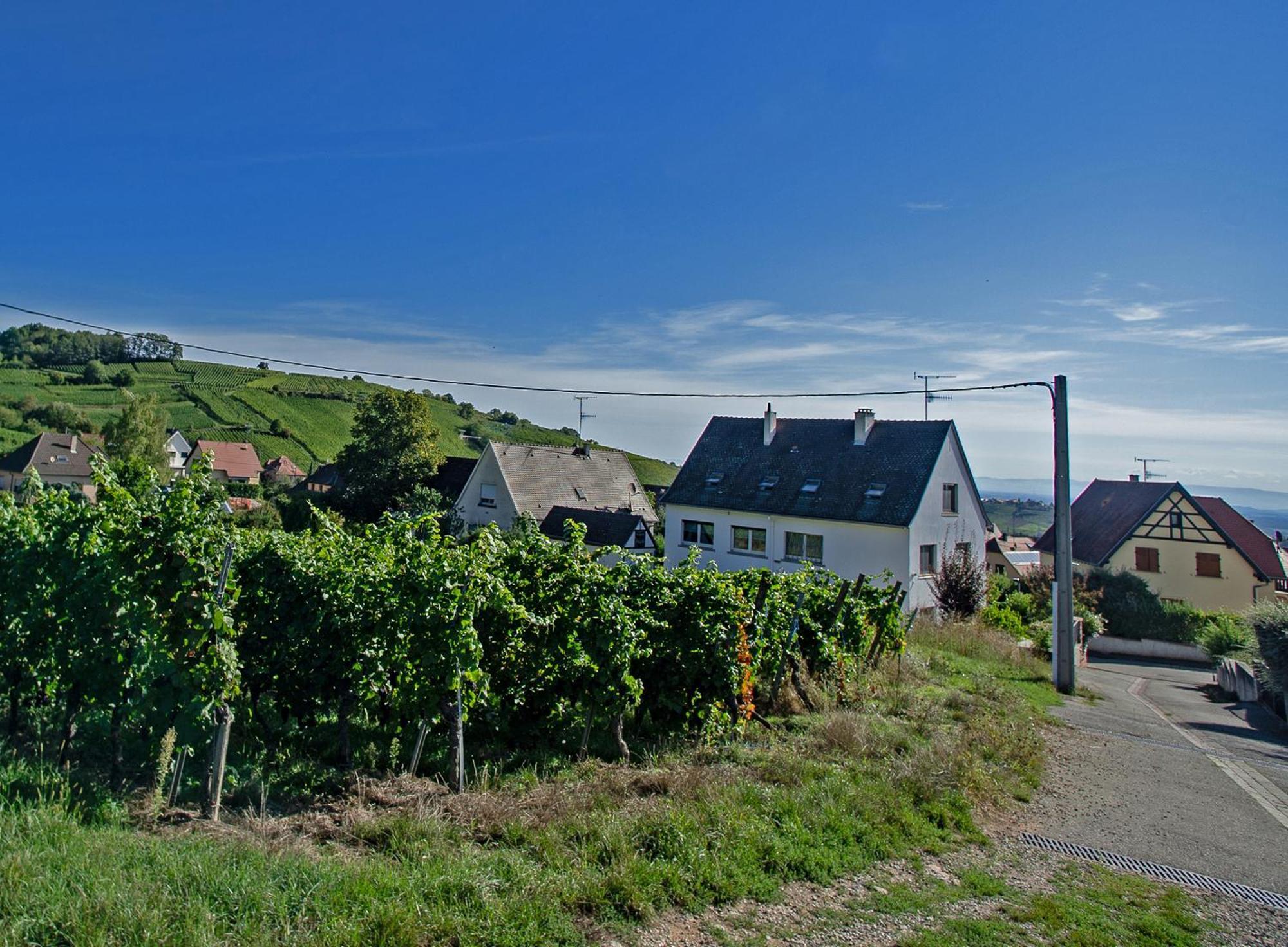 Gite Les Deux Belettes Riquewihr Buitenkant foto